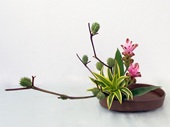 篤裕美様作品