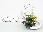 篤裕美様作品