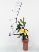 CM様作品