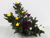 ハリソン峰子様作品