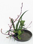 平井美代子(豊茜)様作品