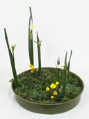 平井美代子(豊茜)様作品