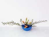 遠山真由美様作品